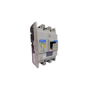 Interruptor Caja Moldeada E250-SJ 4P 250A FC MCCB 25kA Regulable